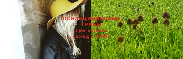 кокс Приозерск