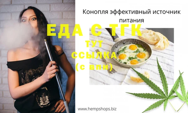 гидра Долгопрудный