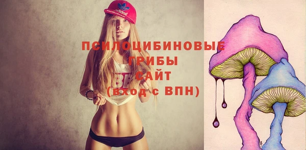 дмт Покровск