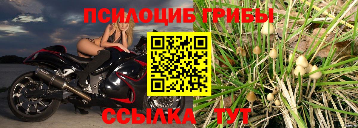 Псилоцибиновые грибы мухоморы  Вход с VPN  Галлюциногенные грибы Cubensis  Бахчисарай 