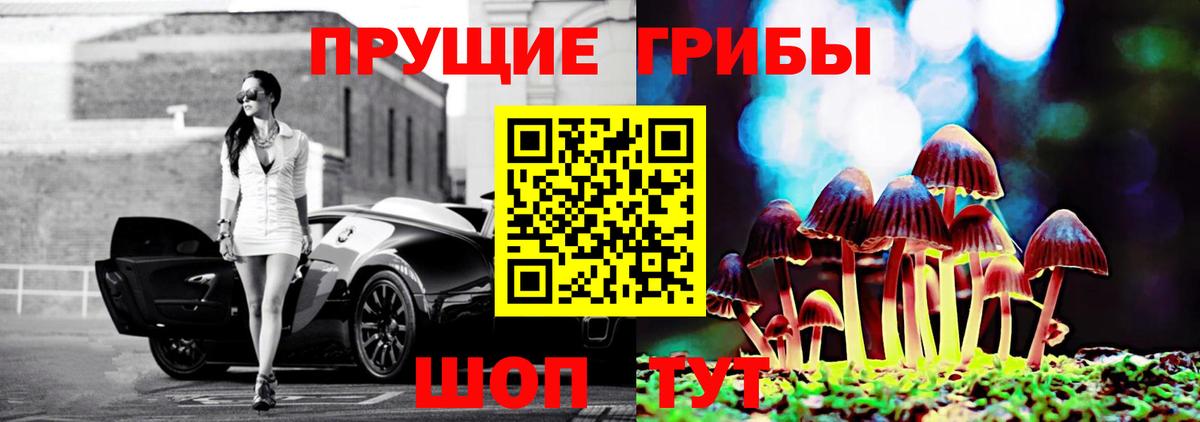 Галлюциногенные грибы Psilocybe  наркошоп  Бахчисарай 